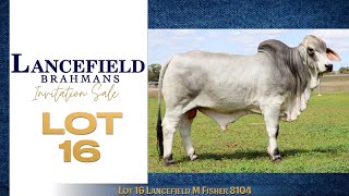 Lot 16 Lancefield M Fisher 8104 [upl. by Yeltihw]