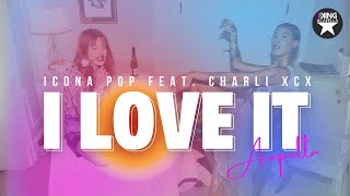 Icona Pop Charli XCX  I Love It Studio Acapella [upl. by Bennion380]