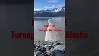 Bore tide Turnagain Arm Alaska [upl. by Fezoj]