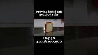 How many days do you think it will take 💪🍞 breadfalling memes funny viral shorts bread [upl. by Nelli]