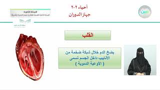 جهاز الدوران  الأحياء 22  المسار العام والصحة والحياة  السنة الثانية [upl. by Hull]