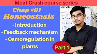 Homeostasis  Osmoregulation in Plants  Feedback Mechanism Part 1  2nd year Biology [upl. by Natsirc]