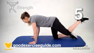 10 Best Exercises for Hip Arthritis Full Physio Sequence [upl. by Imaj]