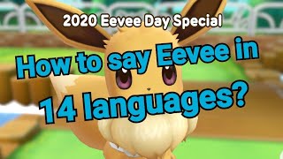 2020 Eevee day special How to say Eevee in 14 languages [upl. by Feodor]