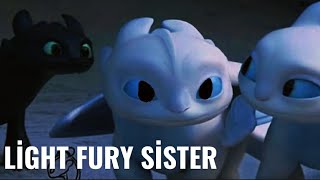 What if light Fury sisterHTTYD [upl. by Akimot]