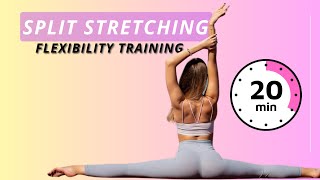 SPLIT Stretching Flexibility Training  20 Minute Stretches for Splits [upl. by Tomlinson441]