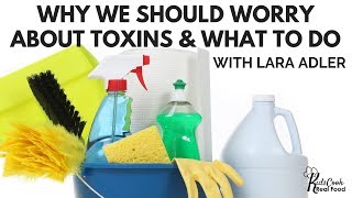 Why We Should Worry About Toxins amp What to Do Lara Adler Interview HPC E19 [upl. by Niawd]