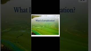 EUTROPHICATION IN DETAIL [upl. by Ettenaj96]