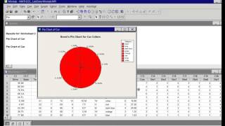 Making a Pie Graph in Minitab [upl. by Carlin]