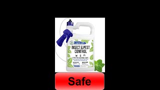 Mighty Mint Gallon Insect and Pest Control Peppermint Oil  Natural Spray Non Toxic shorts [upl. by Hollie]