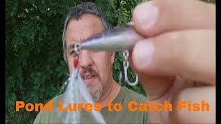 Best Lures For Catching Bass In Ponds And Small Lakes [upl. by Ynamad242]