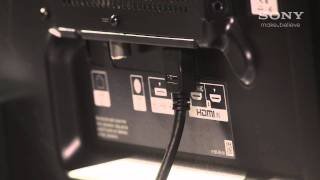 How to set up your BRAVIA with an active display stand [upl. by Ahseal]