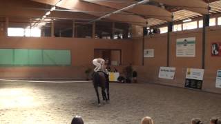 CVN Gossau ZH 2014Einzel Team Wolfsgrube [upl. by Ahsinrad]