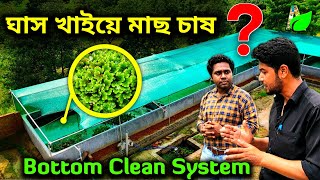 ঘাস খাইয়ে মাছ চাষ করে চমকে দিলেন সবাইকে  Bottom Clean System  বটম ক্লিন পদ্ধতি [upl. by Hanyaz]