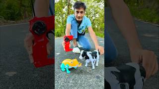 Rc Remote Control Cow 🐄 And Frog testing 😜 [upl. by Ellimac]