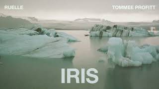 IRIS Cinematic Cover  Tommee Profitt amp Ruelle [upl. by Brackely]