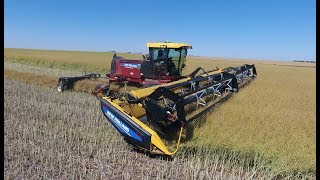 Demo of New Holland SR200 windrower with Duraswath 440HB header Canada [upl. by Esaele797]