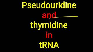 Pseudouridine ll Thymidine in tRNA [upl. by Lesirg751]