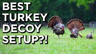 The BEST Decoy Setup For Turkeys  Spring Turkey Hunting Tips [upl. by Airotkiv532]