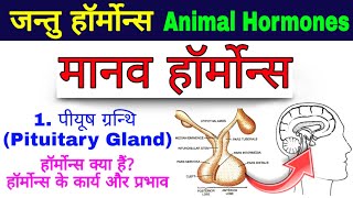 dopamine कैसे काम करता है  dopamine hormone working [upl. by Tanaka624]