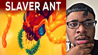 The Most Brutal Ant The Slaver Ant Polyergus REACTION [upl. by Aronos]