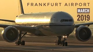 FRANKFURT AIRPORT Planespotting 2019 incl RWY25R EARLY MORNING ARRIVALS [upl. by Adorl]