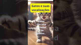 Gatos gatinhosbrincandobrincadeirasdegatos [upl. by Ailecnarf603]