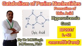 Catabolism of Purine Nucleotides  Hyperuricemia amp Gout  Biochemistry  BP203T  L51 [upl. by Tat]