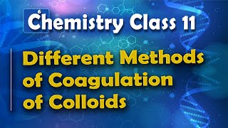 Different Methods of Coagulation of Colloids  Surface Chemistry  Chemistry Class 11 [upl. by Debby]