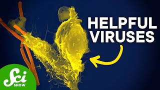 The Viruses That Changed Our World [upl. by Fons]