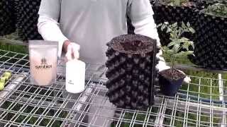 Symbiot® Mycorrhizal Fungi Inoculation demo [upl. by Alael]