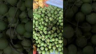 Hermosa naturaleza vida  delicioso mamoncillo fruit nature youtubeshorts frutos [upl. by Demetria]