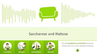 Saccharose und Maltose einfach erklärt  sofatutor [upl. by Combs]