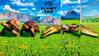 Giant Tortoise vs Aldabra Giant Tortoise vs Gharial vs Cuvier Dwarf and Caiman  Planet Zoo [upl. by Terrab]