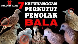 7 Perkutut Katuranggan Penolak Bala [upl. by Johnsson]