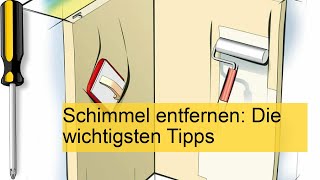 Schimmel entfernen Die wichtigsten Tipps [upl. by Baugh]