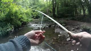 Dry Fly Fun on The Lothrie Burn browntroutfishing smallstream flyfishing dryflyfishing [upl. by Richardson]