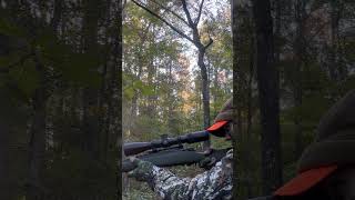 Rifle hunting out of a saddle saddlehunting hunting deerhunting short fyp [upl. by Idalina]