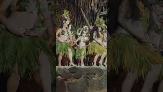 Ori Tahiti Dancers of the day Intercontinental Tahiti dance tahiti faarapu shorts [upl. by Triplett]