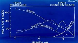 Fisiología Ruminal  Cambios de pH AcidosisAlcalosis [upl. by Aikyt]