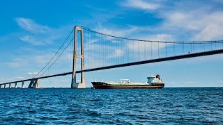 Monjasa Thunder passing under the Great Belt Bridge en route West Africa [upl. by Raney]