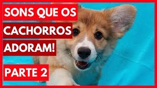 SONS que os cachorros ADORAM ouvir  Parte 2 Assista com seu cão dicasboaspracachorro [upl. by Stokes677]