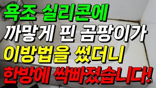 욕조실리콘에 까맣게 핀 곰팡이가 이렇게 했더니 싹 빠졌습니다 한국에서 난리난 곰팡이제거 방법 욕조실리콘곰팡이제거 욕조곰팡이제거 방법 곰팡이제거 욕조곰팡이제거 [upl. by Tletski]