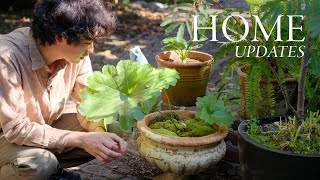 Home Updates  Adding a shelf in the kitchen new shade garden amp my design inspo [upl. by Kalasky]