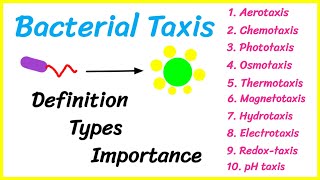 Bacterial Taxis  Types  Significance  microorganisms microbiology basicappliedmicrobiology [upl. by Ynohtnakram118]