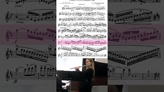 flute players are obsessed with this piece 🥰 flute classicalmusic [upl. by Chere]