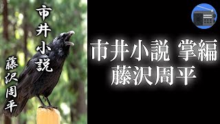 【朗読】「市井小説 掌編（長月）」江戸の十二カ月を鮮やかに切りとった掌篇集 “江戸おんな絵姿十二景”。著者最後の作品集！【時代小説・歴史小説／藤沢周平】 [upl. by Atirak763]