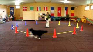 Demo  Longierzirkeltraining mit Hund  von Anja Jakob wwwclickntrickde und wwwanjajakobcom [upl. by Pincince]