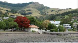 The Elastic Band  Pohutukawa Christmas Tree [upl. by Nhguav]