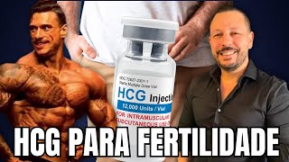 HCG PRESERVA A FERTILIDADE DURANTE O CICLO [upl. by Nwahs11]